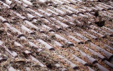 Gamesley roof cleaning companies